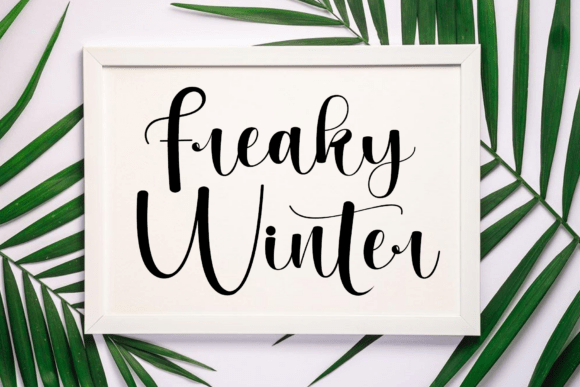 Branding with Freaky Winter: A Designer’s Journey Through a Script Font’s Elegance