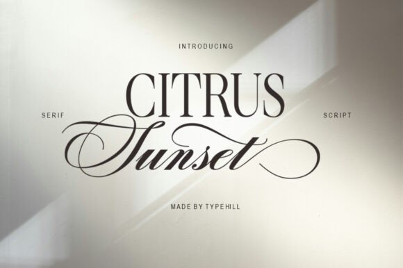 Citrus Sunset: A Designer’s Go-To Font for Warm, Sophisticated Branding