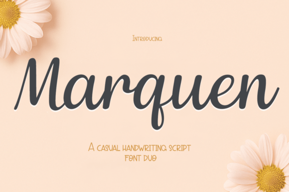 Marquen: A Designer’s Review for Real-World Use
