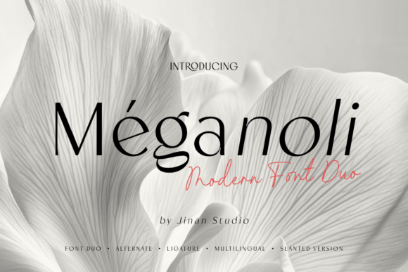 Meganoli Duo: A Designer’s Real-World Font Review