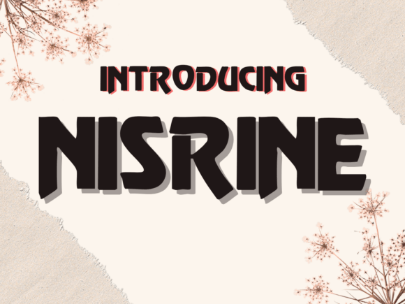 Nisrine: A Designer’s Take on Its Real-World Use